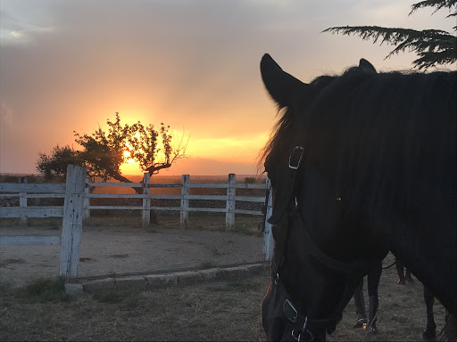 Accademia equestre Doc - Thumbnail