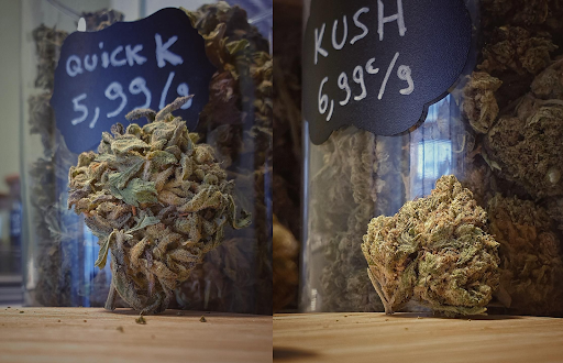 Terra CBD Meyzieu Shop - Thumbnail