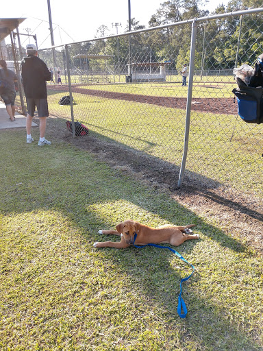 Lacombe Recreational Baseball Park - Thumbnail