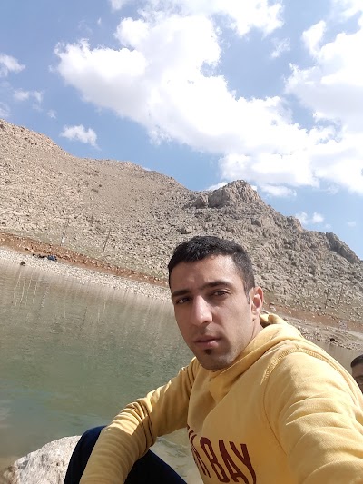 Photos of بوستان شهید شقاقی وند
