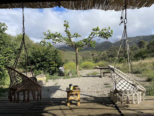 La Mandorla - Thumbnail