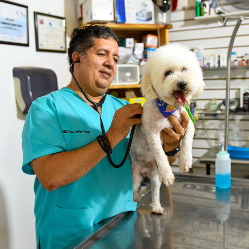 Mascotas Morelia - Veterinaria en Apatzingan