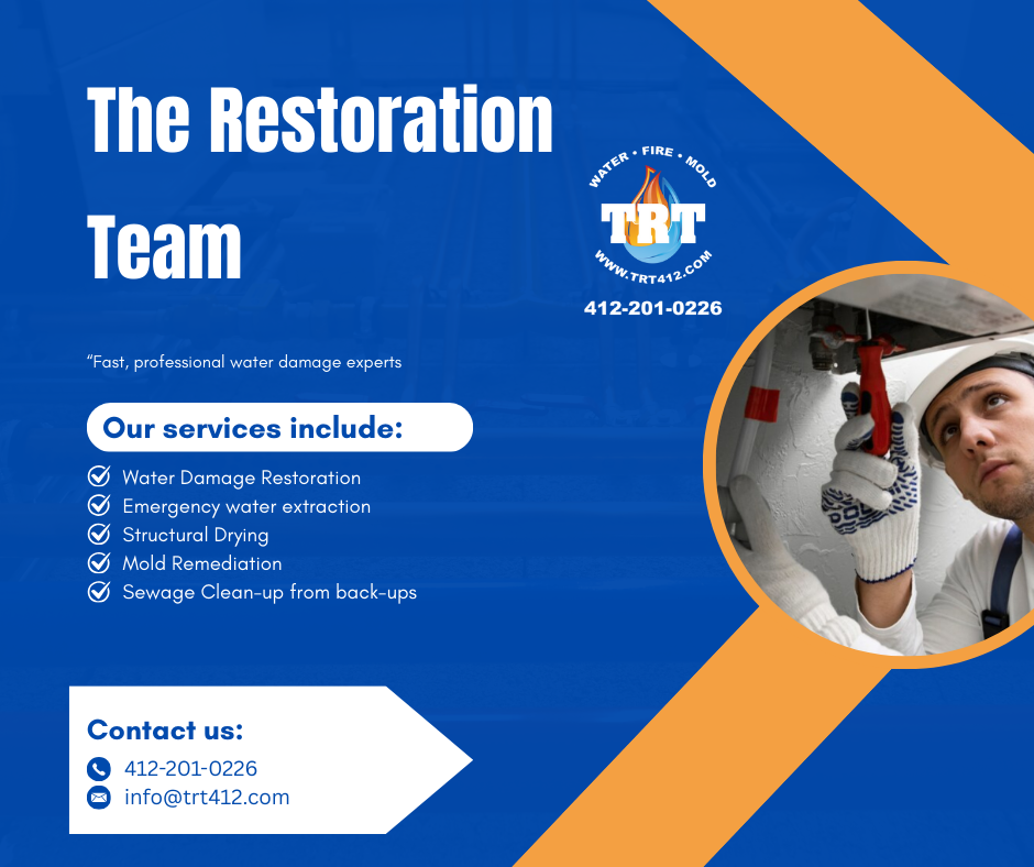 The Restoration Team photo