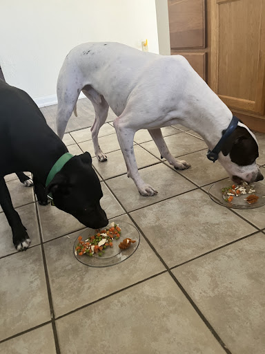 Willow Roes Box of Treats - Thumbnail