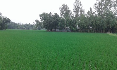 Photos of অালতাব নগর, উচাপাড়া