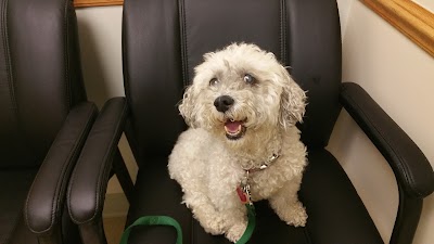 veterinary-care