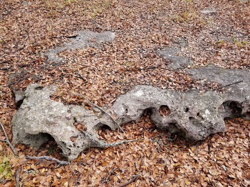 Stoneview Park - Visual