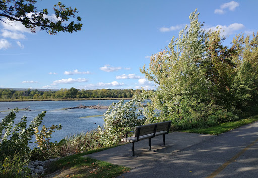 Des Plaines view with bench