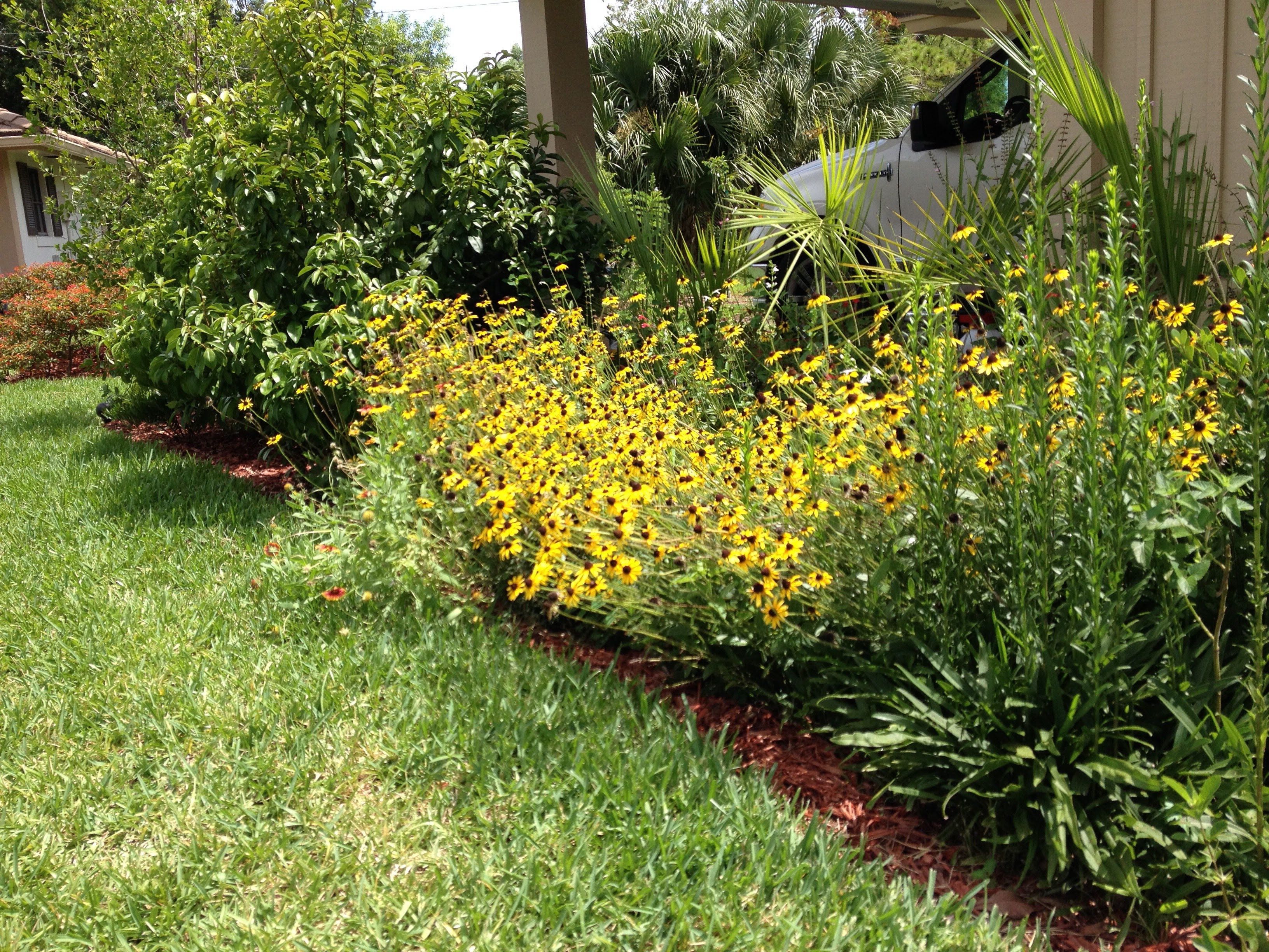 Meadow Beauty Nursery