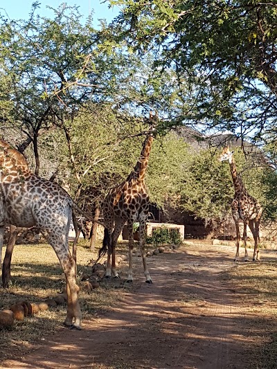 Photos of Koekoek Guest House