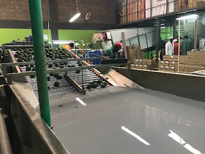Photos of Kandia FPS Ltd
