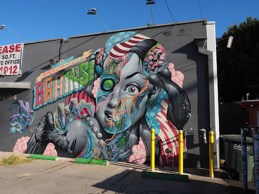 America Needs Brains Mural - Thumbnail