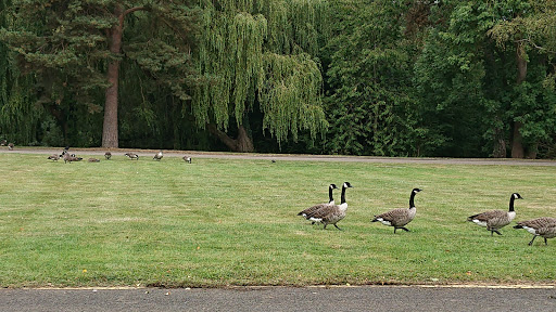 Carpenders Park Lawn Cemetery - Thumbnail