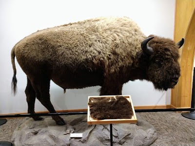 National Buffalo Museum