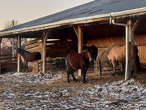 Riding Center - Thumbnail