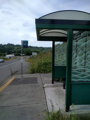 Hwy 522 & 132nd Ave NE Flyer Stop Gallery - United States