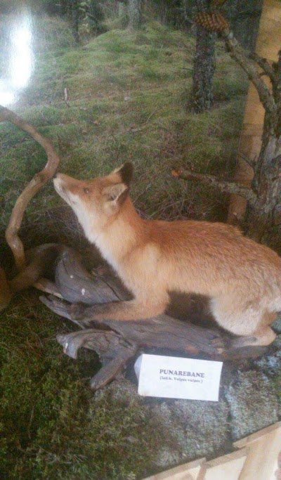 Photos of Prangli muuseum