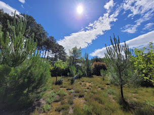 Photo n°13 de SWELL immo Moliets à Moliets-et-Maa (Agence immobilière)