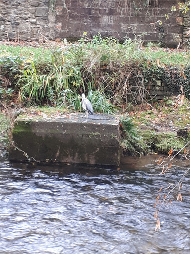 Treherbert Park