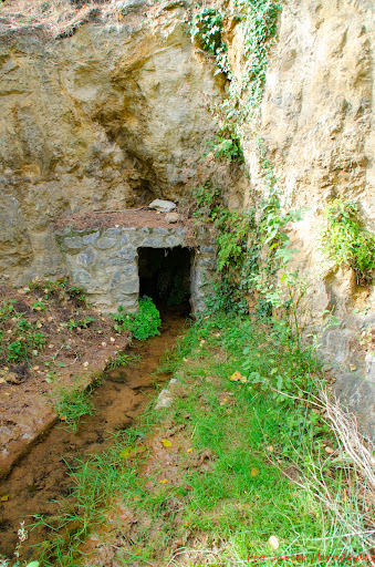 Área recreativa fuente calache - Thumbnail