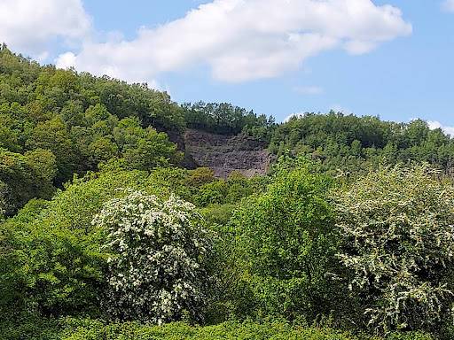 The Taff Trail - Thumbnail