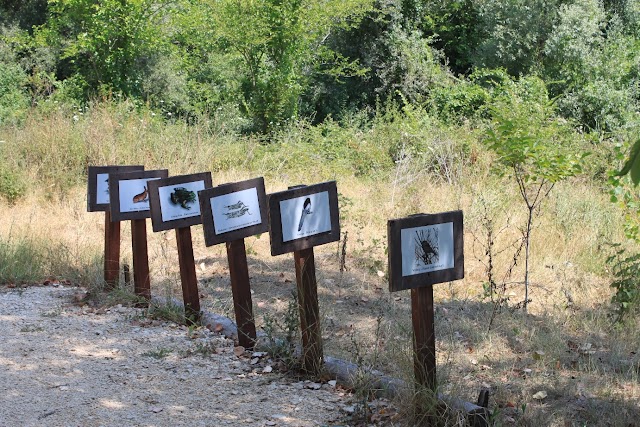 Park prirode Hutovo blato