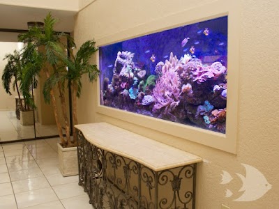 Aquarium Design International