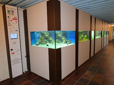 Photos of Aquarienfreunde Bad K&ouml;nigshofen e.V.