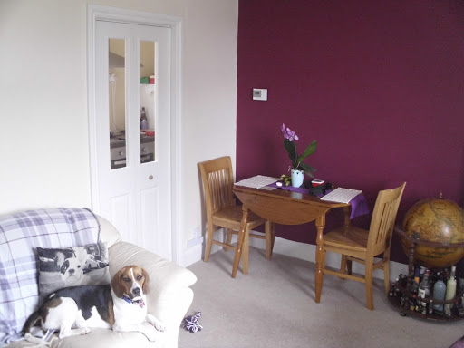 Dean The Decorator - Thumbnail