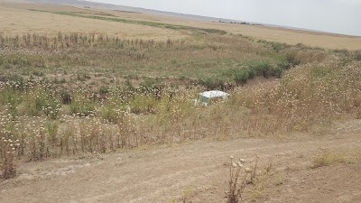 Photos of گوندی دؤره زه