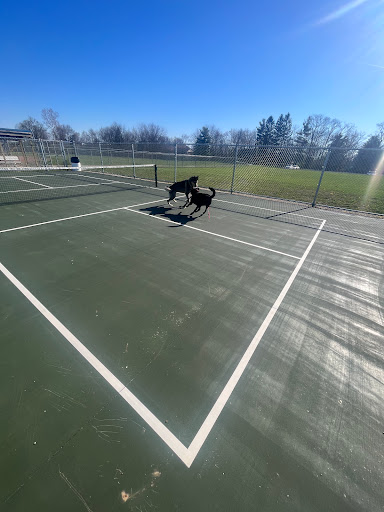 Stowell Park - Visual