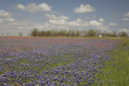 Jason R Weingart Photography 1306 Pine St, Georgetown, TX 78626
