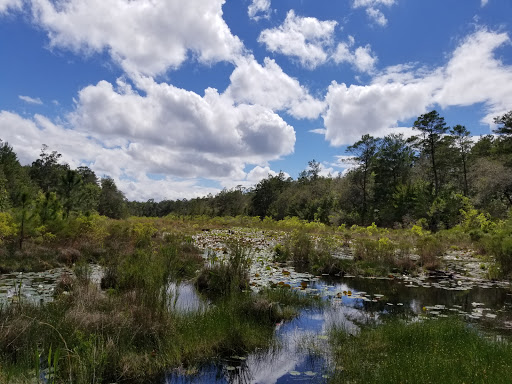 Rocky Bayou State Park Aquatic Preserve - Thumbnail