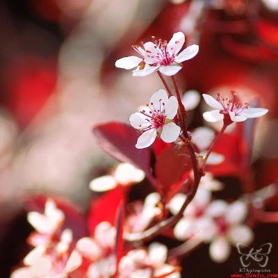 Photos of صادق الامين