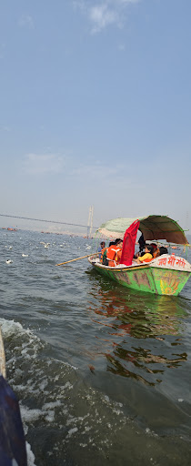Gallery image 62