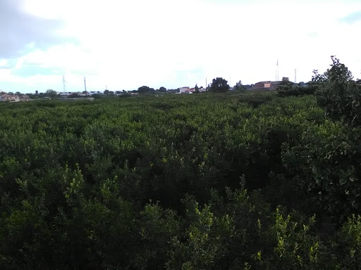 IBI srl - Visual