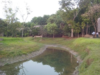 Photos of Panigram Resort