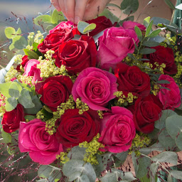 Photo n°3 de Fleuriste Pam é la Rose à Villetaneuse (Fleuriste)