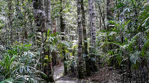 Washpool National Park - Thumbnail