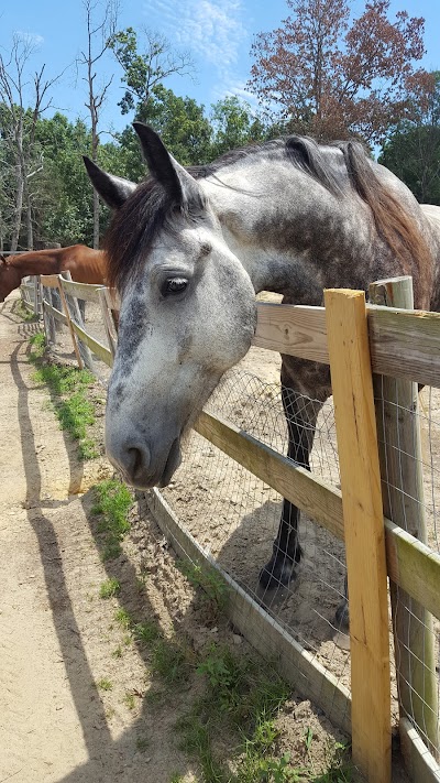 Darby Acres Farm