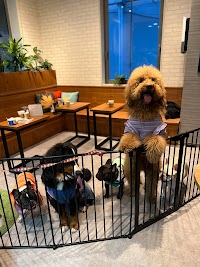 SUN9 COFFEE サンキューコーヒー