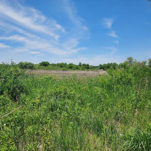 Ipsen Road Conservation Area