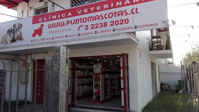 Photos of Punto Mascotas