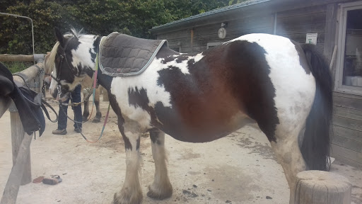 CENTRE EQUESTRE D AMBRIERES LES VALLEES - Thumbnail