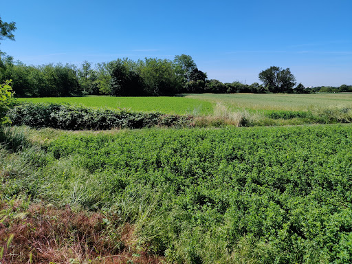Parco Del Lura - Thumbnail