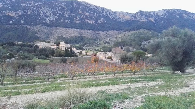 Salt Des Freu