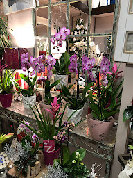 Photo n°19 de Stephane - Artisan fleuriste à Villeneuve (Fleuriste)