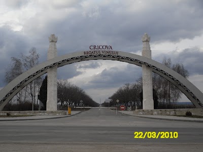Photos of Berăria De La Răscruce(Livrare bere In Keg)