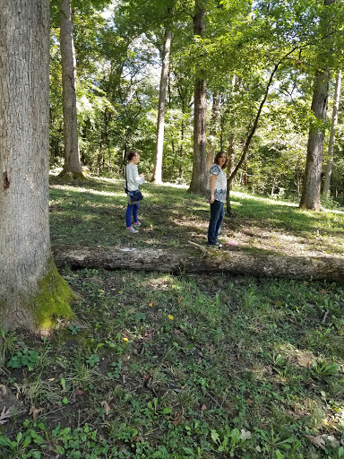 Marilla Park Disc Golf Course