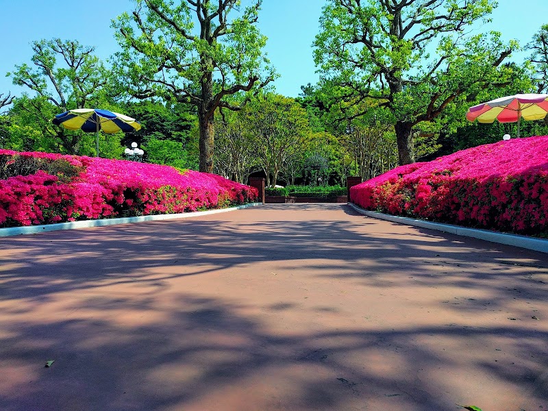 東京ディズニーランドピクニックエリア 千葉県浦安市舞浜 公園 グルコミ